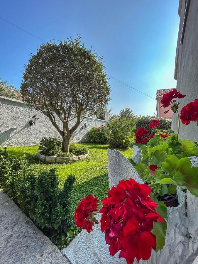 Sunrise Apartment Kotor Exterior photo